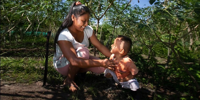 El proyecto se trabaja junto a 4 comunidades locales dedicadas a la producción de cacao y plantas medicinales